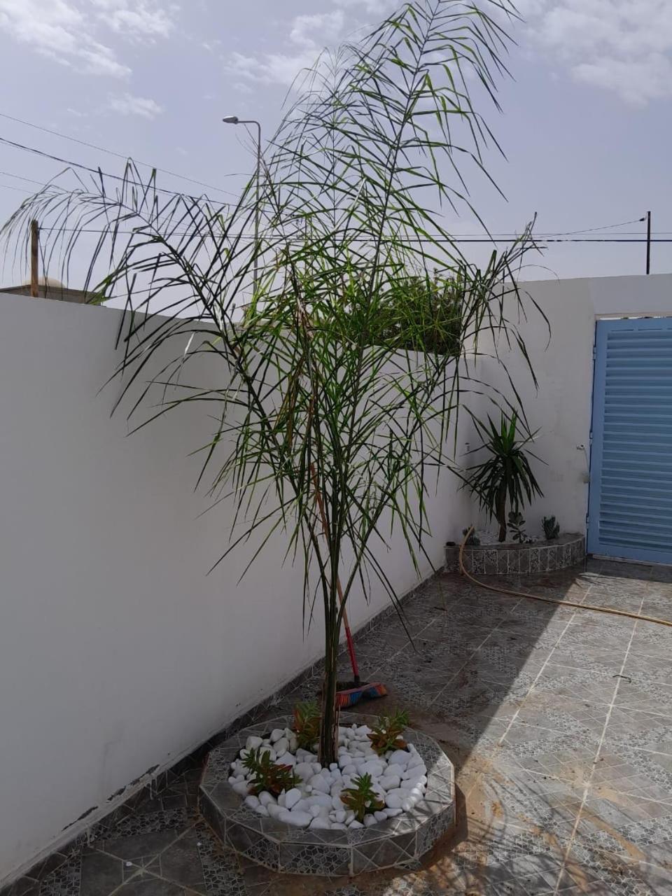 Studio Rouge Cosy A Dar Lili Djerba Mezraia Exterior foto